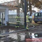 Fotka nr 2 z 23