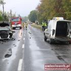 zdjęcie nr 8