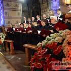 zdjęcie nr 20