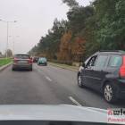 zdjęcie nr 7