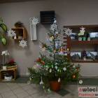 zdjęcie nr 43