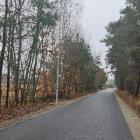 Fotka nr 5 z 9