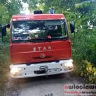 Fotka nr 4 z 13