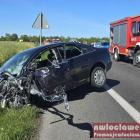 Fotka nr 2 z 16