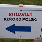 zdjęcie nr 18