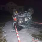 Fotka nr 5 z 6