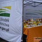 zdjęcie nr 14