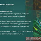 Fotka nr 5 z 9