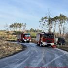 Fotka nr 1 z 4