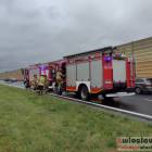 Fotka nr 2 z 5