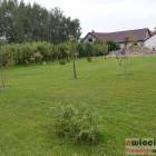 zdjęcie nr 34