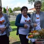 zdjęcie nr 30