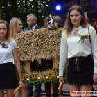 zdjęcie nr 145
