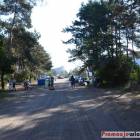 zdjęcie nr 50