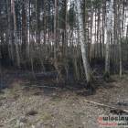Fotka nr 1 z 14