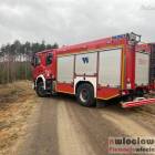 Fotka nr 5 z 7