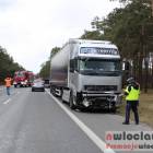 Fotka nr 1 z 2