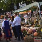 zdjęcie nr 115