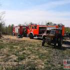 Fotka nr 2 z 11