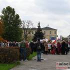 zdjęcie nr 61