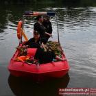 zdjęcie nr 133