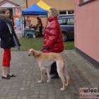 zdjęcie nr 33