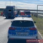 Fotka nr 1 z 2