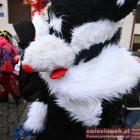 zdjęcie nr 110