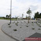 zdjęcie nr 90