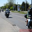 zdjęcie nr 86