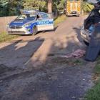 Fotka nr 2 z 5