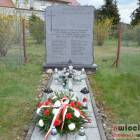 zdjęcie nr 51