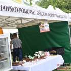 zdjęcie nr 38
