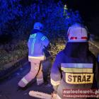 Fotka nr 1 z 5