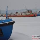 Fotka nr 4 z 16