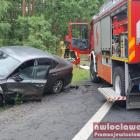 zdjęcie nr 7