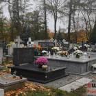 zdjęcie nr 71