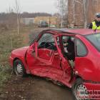 Fotka nr 2 z 4