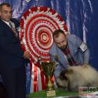 zdjęcie nr 173