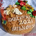 zdjęcie nr 80