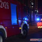 Fotka nr 5 z 8