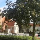 Fotka nr 5 z 6