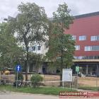 Fotka nr 5 z 8
