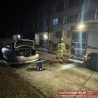 Fotka nr 1 z 2