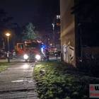 zdjęcie nr 8