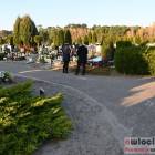zdjęcie nr 33