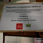 zdjęcie nr 11