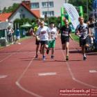 zdjęcie nr 185