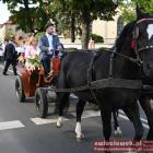 zdjęcie nr 29