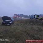 Fotka nr 1 z 4